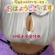 ヒメ日記 2025/06/27 08:05 投稿 むぎ【業界未経験】 茨城水戸ちゃんこ