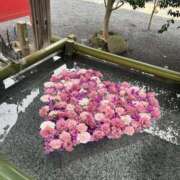 まい こんばんは🌙 千葉人妻セレブリティ（ユメオト）