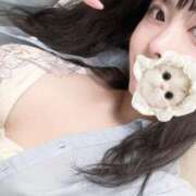 ヒメ日記 2025/06/22 09:43 投稿 ここ BLUE BIRD (ブルーバード) 上越