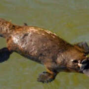 ヒメ日記 2025/07/15 13:10 投稿 つぼみ 奥鉄オクテツ東京店（デリヘル市場）