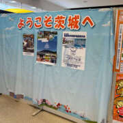 ヒメ日記 2025/07/14 12:20 投稿 わにゃ ドリーム水戸