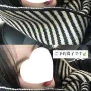 ヒメ日記 2025/11/13 15:51 投稿 花丘　みれい NADIA神戸店