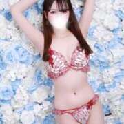 ヒメ日記 2026/03/23 11:48 投稿 モア ギャルズネットワーク 姫路