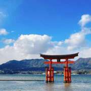 ヒメ日記 2025/07/18 19:47 投稿 コトネ バニーコレクション新潟店