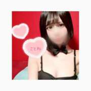 ヒメ日記 2025/07/19 00:09 投稿 コトネ バニーコレクション新潟店