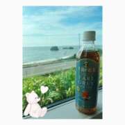 ヒメ日記 2025/08/26 22:21 投稿 コトネ バニーコレクション新潟店