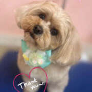 ヒメ日記 2025/10/01 07:09 投稿 いこま ちゃんこ東大阪 布施・長田店