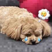 いこま お休み中... ちゃんこ東大阪 布施・長田店