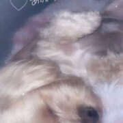 ヒメ日記 2026/01/11 18:11 投稿 いこま ちゃんこ東大阪 布施・長田店