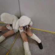 ヒメ日記 2025/06/17 19:42 投稿 こぺる 池袋サンキュー