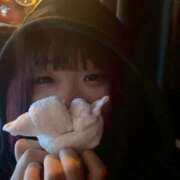 ヒメ日記 2025/07/07 17:02 投稿 こぺる 池袋サンキュー