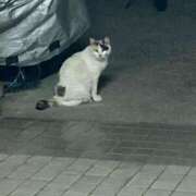 ヒメ日記 2025/06/23 10:53 投稿 まみ しろうと娘　本店