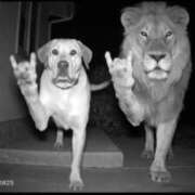 ヒメ日記 2025/08/09 19:33 投稿 まみ しろうと娘　本店