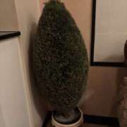 ヒメ日記 2025/07/21 01:04 投稿 Ａmu（あむ） AMATERAS(アマテラス)(福山)