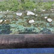 ヒメ日記 2026/05/12 11:57 投稿 Ａmu（あむ） AMATERAS(アマテラス)(福山)