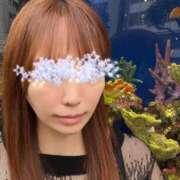 ヒメ日記 2025/09/05 08:00 投稿 梨香(りか) モアグループ西川口人妻城