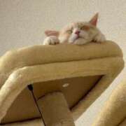 ヒメ日記 2025/08/08 18:51 投稿 みり★黒髪清楚なキス好きJD★ S級素人清楚系デリヘル chloe