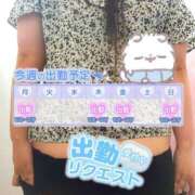 ヒメ日記 2025/06/17 01:06 投稿 わらび ぽっちゃり巨乳素人専門店　蒲田ちゃんこ