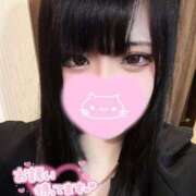 ヒメ日記 2025/06/17 15:13 投稿 こはく 三重松阪ちゃんこ