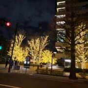 ヒメ日記 2026/01/01 20:09 投稿 楓華(ふうか) エリートな人妻たち新宿