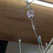 あずま こんばんは 名古屋デッドボール