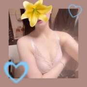 ヒメ日記 2025/08/30 15:21 投稿 桜田　みなみ スタイリッシュ秘書