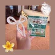 桜田　みなみ 足元🧦 スタイリッシュ秘書