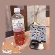 ヒメ日記 2026/03/28 00:00 投稿 桜田　みなみ スタイリッシュ秘書