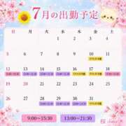 桜 🌸7月の出勤🗓️🌸 アカデミー