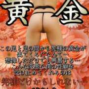 ヒメ日記 2025/09/12 22:00 投稿 筅(ささら) Club-Embassy