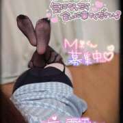 ヒメ日記 2026/05/14 12:03 投稿 筅(ささら) Club-Embassy
