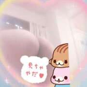 ヒメ日記 2025/06/22 10:02 投稿 田中 BBW横浜店