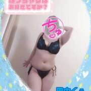 ヒメ日記 2025/06/25 16:01 投稿 田中 BBW横浜店