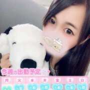 ヒメ日記 2025/08/28 12:03 投稿 田中 BBW横浜店