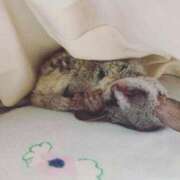 ヒメ日記 2025/09/01 20:50 投稿 田中 BBW横浜店