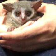 ヒメ日記 2025/09/28 11:48 投稿 田中 BBW横浜店