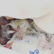 ヒメ日記 2025/09/30 18:02 投稿 田中 BBW横浜店