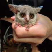 田中 ごめんなさい💦 BBW横浜店