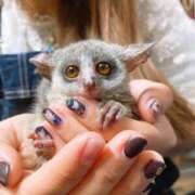 田中 申し訳ないです😭 BBW横浜店