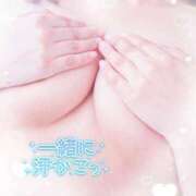 ヒメ日記 2026/04/12 14:01 投稿 田中 BBW横浜店