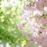 ヒメ日記 2026/04/08 08:34 投稿 Mayuri THE MUSE