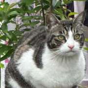 ヒメ日記 2025/06/26 17:04 投稿 ちなつ sakura