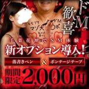 ヒメ日記 2026/04/13 19:04 投稿 きょうか 千葉人妻花壇