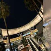 ヒメ日記 2026/04/26 13:00 投稿 きょうか 千葉人妻花壇