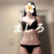 ヒメ日記 2025/06/21 14:00 投稿 ましろ 金の玉クラブ池袋～密着睾丸マッサージ～