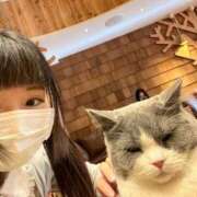 ヒメ日記 2025/07/02 13:00 投稿 ましろ 金の玉クラブ池袋～密着睾丸マッサージ～