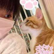 ヒメ日記 2025/11/13 12:01 投稿 ましろ 金の玉クラブ池袋～密着睾丸マッサージ～