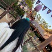 ヒメ日記 2025/11/15 09:00 投稿 ましろ 金の玉クラブ池袋～密着睾丸マッサージ～