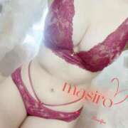 ヒメ日記 2026/01/25 17:23 投稿 ましろ 金の玉クラブ池袋～密着睾丸マッサージ～