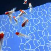 ヒメ日記 2025/06/23 21:45 投稿 明日香【アスカ】 輝女